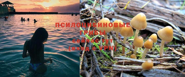 каннабис Абдулино