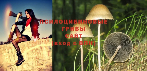 гашик Абаза