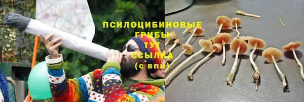 тгк Абинск