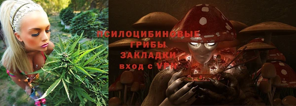 тгк Абинск