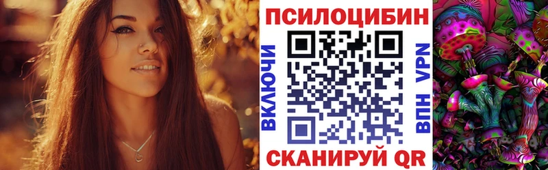 Галлюциногенные грибы Magic Shrooms  мега ТОР  Новосиль 